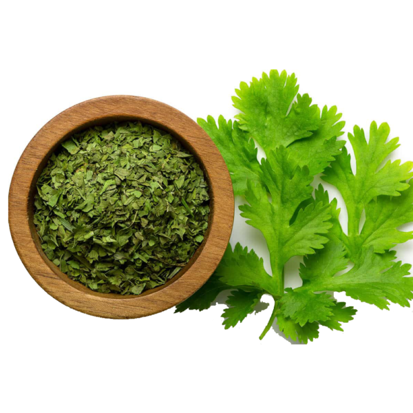 Coriander Leaves