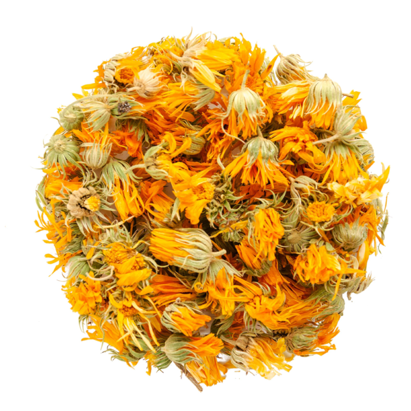 Calendula Flowers
