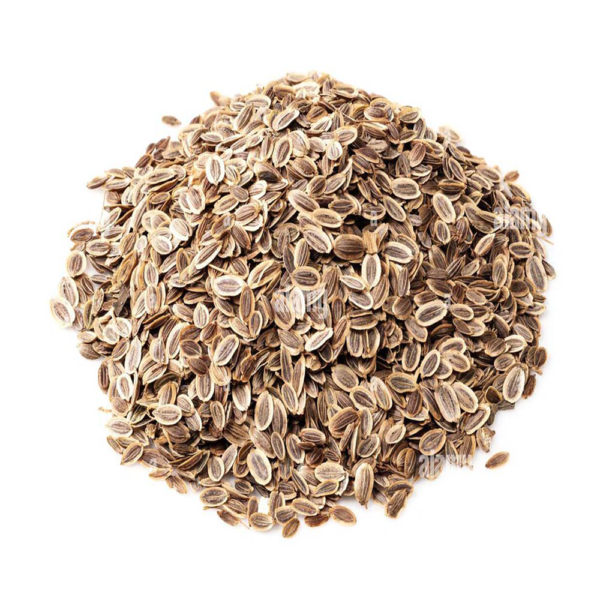 Dill Seeds