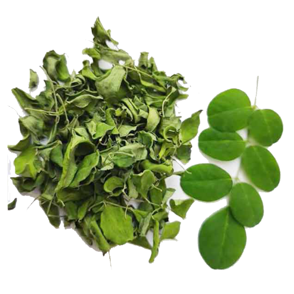 Moringa