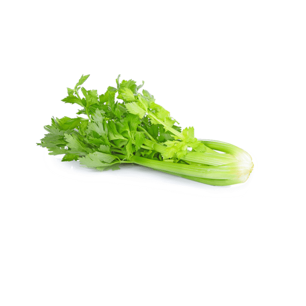 Celery