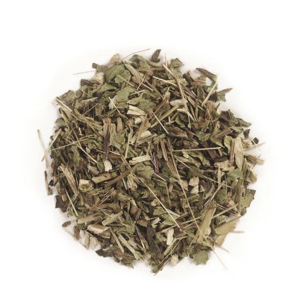Echinacea