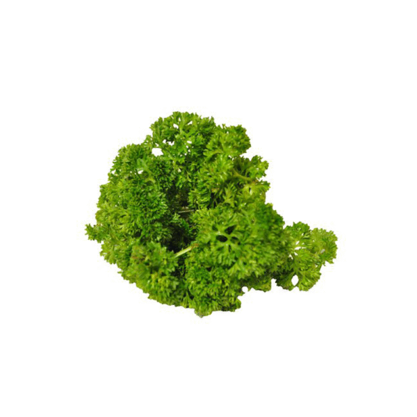 Parsley Curly