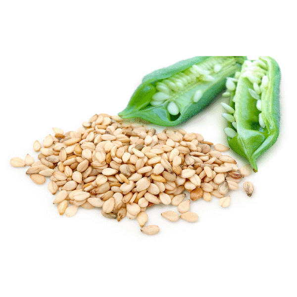 Sesame Seeds