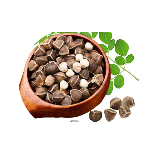 Moringa Seeds