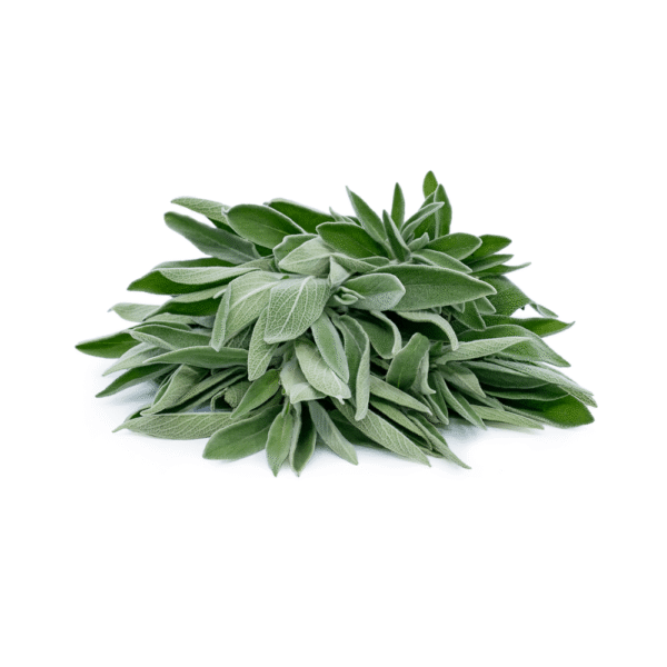 Sage